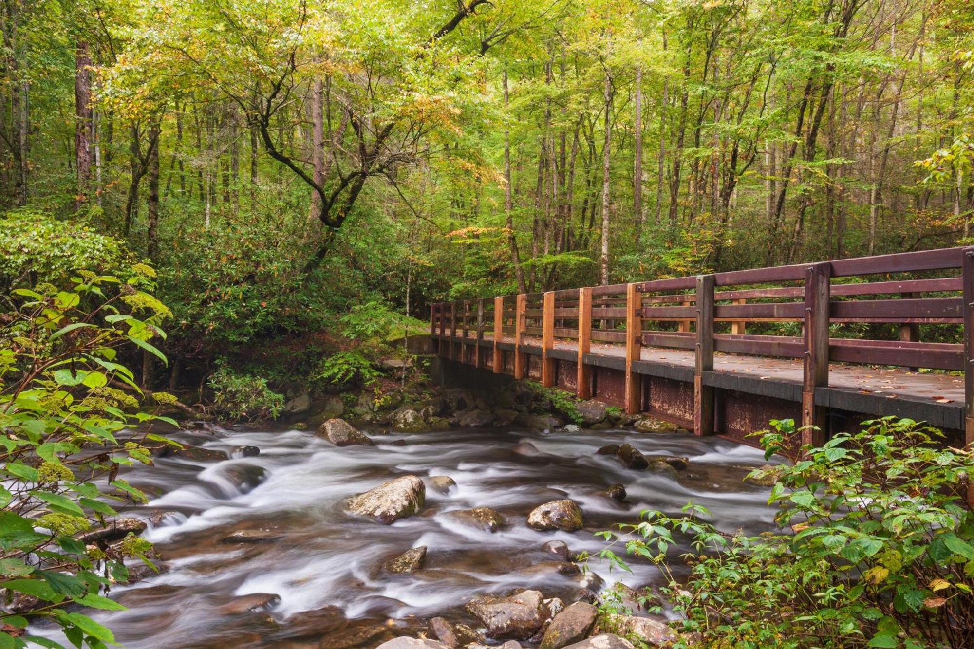 גטלינבורג Hidden Creek, Pool Table, Hot Tub, 1089 Free Tickets Each Paid Day, Dollywood And More מראה חיצוני תמונה